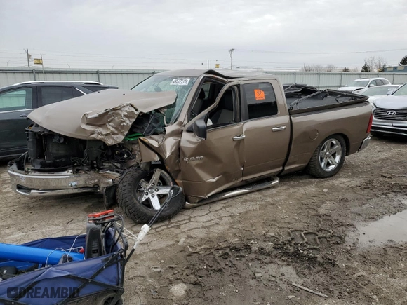 2010 Dodge Ram 1500 SLT with VIN 1D7RB1GT0AS165095, listed as a Copart auction lot 49572775 with 0 mi miles and Non Repairable. Bid and sale history available at carsss.com. Image 1.