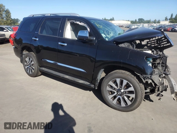 2019 Toyota Sequoia Limited with VIN 5TDJY5G11KS171719, listed as a Copart auction lot 69651034 with 0 mi miles and Salvage Title. Bid and sale history available at carsss.com. Image 4.