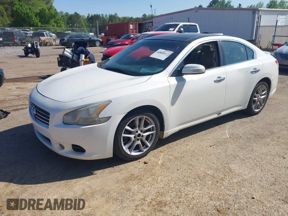 2010 Nissan Maxima SV with VIN 1N4AA5AP7AC804098, listed as a IAAI auction lot 42021057 with 269,002 mi miles and . Bid and sale history available at DreamBid. Image 2.