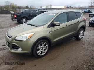 2013 Ford Escape SEL with VIN 1FMCU0HX1DUD51254, listed as a Copart auction lot 81525254 with 80,611 mi miles and Salvage Title. Bid and sale history available at carsss.com. Image 1.