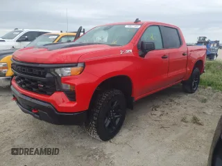 2024 Chevrolet Silverado 1500 Custom Trail Boss with VIN 3GCUDCEDXRG343846, listed as a Copart auction lot 79827194 with 2,163 mi miles and Non Repairable. Bid and sale history available at carsss.com. Image 1.