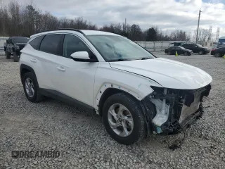 2024 Hyundai Tucson SEL with VIN 5NMJB3DE2RH301307, listed as a Copart auction lot 85516654 with 30,333 mi miles and Salvage Title. Bid and sale history available at DreamBid. Image 4.