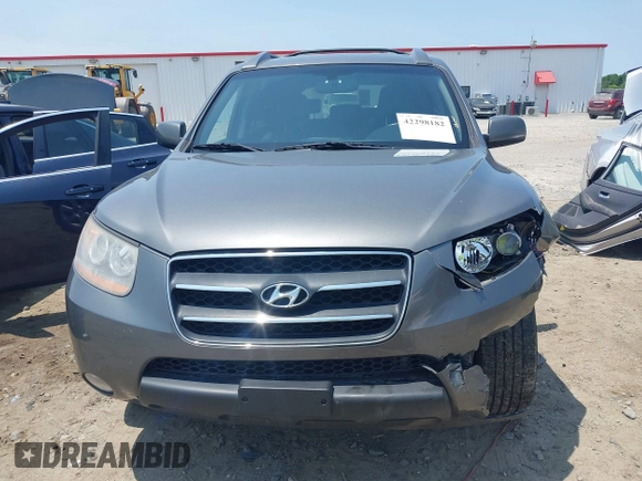 2009 Hyundai Santa Fe SE z VIN 5NMSH13E89H325006, wystawiony jako IAAI lot #42298182 z przebiegiem 164 253 mil mil oraz . Historia ofert i sprzedaży dostępna na DreamBid. Obrazek 12.