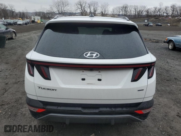 2022 Hyundai Tucson Limited with VIN 5NMJECAE6NH030726, listed as a Copart auction lot 51774025 with 32,409 mi miles and Salvage Title. Bid and sale history available at carsss.com. Image 6.