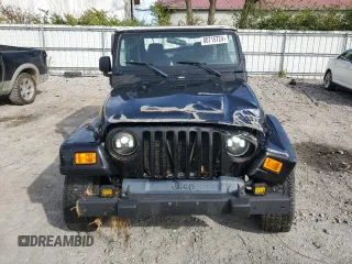 2003 Jeep Wrangler X with VIN 1J4FA39S93P366008, listed as a Copart auction lot 80715724 with 97,514 mi miles and Salvage Title. Bid and sale history available at carsss.com. Image 5.