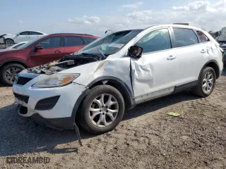 2012 Mazda CX-9 Touring with VIN JM3TB2CA7C0334366, listed as a Copart auction lot 53081015 with 0 mi miles and Salvage Title. Bid and sale history available at carsss.com. Image 1.