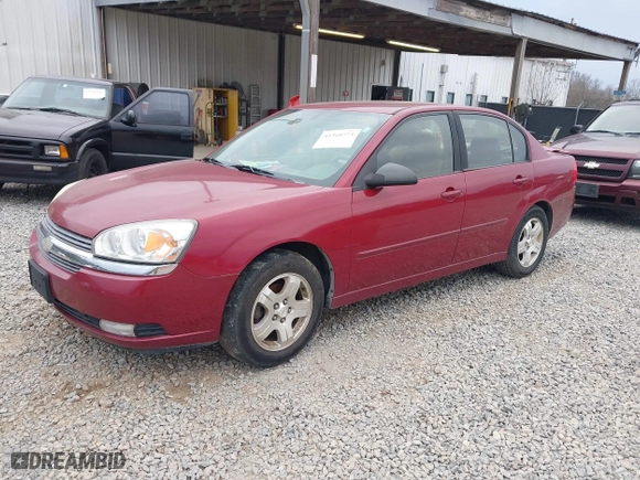 2004 Chevrolet Malibu LT with VIN 1G1ZU54894F245335, listed as a IAAI auction lot 41310773 with 318,783 mi miles. Bid and sale history available at carsss.com. Image 2.