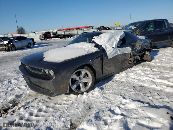 2014 Dodge Challenger SXT with VIN 2C3CDYAG3EH204522, listed as a Copart auction lot 41659465 with 0 mi miles and Salvage Title. Bid and sale history available at carsss.com. Image 1.