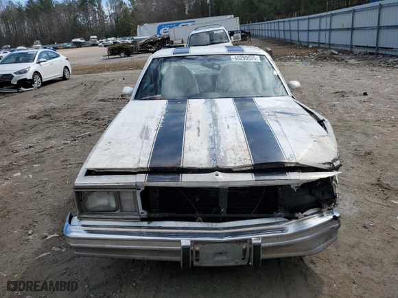 1981 Chevrolet El Camino with VIN 1GCCW80JXBD431816, listed as a Copart auction lot 46290535 with 22,666 mi miles and Salvage Title. Bid and sale history available at carsss.com. Image 5.