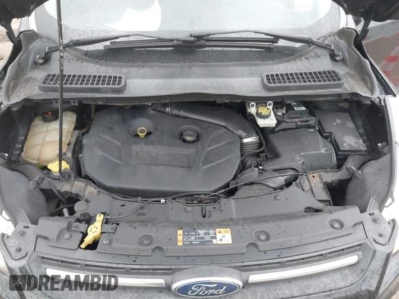 2015 Ford Escape SE with VIN 1FMCU9G90FUC66187, listed as a IAAI auction lot 41678861 with 284,548 mi miles and . Bid and sale history available at DreamBid. Image 10.
