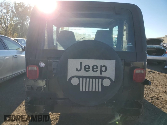 1993 Jeep Wrangler with VIN 1J4FY29S1PP235666, listed as a Copart auction lot 76386274 with 0 mi miles and Non Repairable. Bid and sale history available at carsss.com. Image 6.