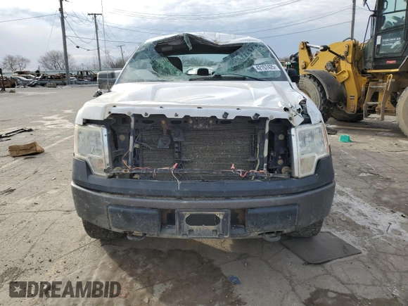 2013 Ford F-150 XL with VIN 1FTEX1EM8DFC06480, listed as a Copart auction lot 42157425 with 0 mi miles and Salvage Title. Bid and sale history available at carsss.com. Image 5.