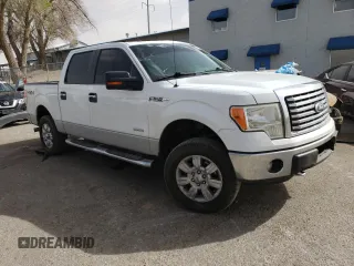 2011 Ford F-150 XLT with VIN 1FTFW1ET0BFC92699, listed as a Copart auction lot 48822555 with 202,806 mi miles and Salvage Title. Bid and sale history available at carsss.com. Image 4.