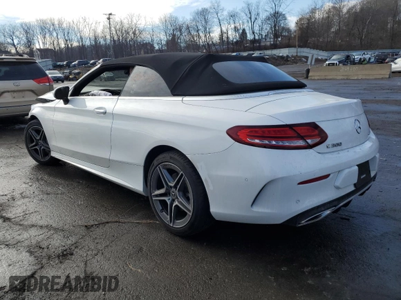 2023 Mercedes-Benz C 300 with VIN W1KWK8EB1PG116635, listed as a Copart auction lot 89201975 with Not Provided miles and Salvage Title. Bid and sale history available at DreamBid. Image 2.