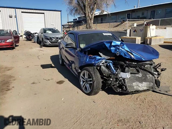2017 BMW 2 Series 230i xDrive with VIN WBA2H9C50HV641853, listed as a Copart auction lot 83490184 with 0 mi miles and Salvage Title. Bid and sale history available at carsss.com. Image 10.
