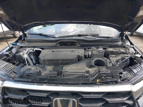 2024 Honda Pilot Touring with VIN 5FNYG2H7XRB014420, listed as a IAAI auction lot 41919635 with Not provided miles and . Bid and sale history available at DreamBid. Image 10.