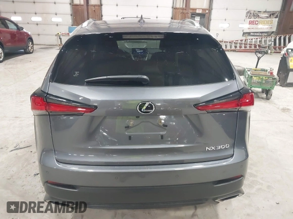 2019 Lexus NX 300 z VIN JTJBARBZ4K2202933, wystawiony jako IAAI lot #41836534 z przebiegiem 51 783 mil mil oraz . Historia ofert i sprzedaży dostępna na DreamBid. Obrazek 16.