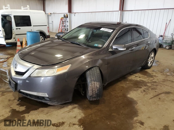 2009 Acura TL Tech with VIN 19UUA86549A018283, listed as a Copart auction lot 51913805 with 205,287 mi miles and Salvage Title. Bid and sale history available at carsss.com. Image 1.