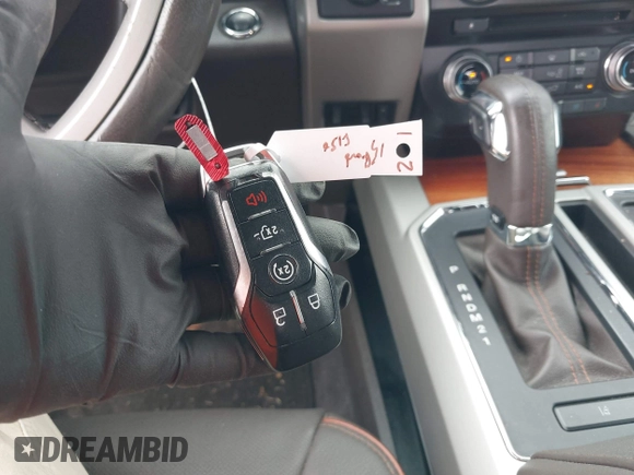 2015 Ford F-150 XLT with VIN 1FTEW1EF5FFB69427, listed as a IAAI auction lot 42130485 with 132,866 mi miles and . Bid and sale history available at DreamBid. Image 11.