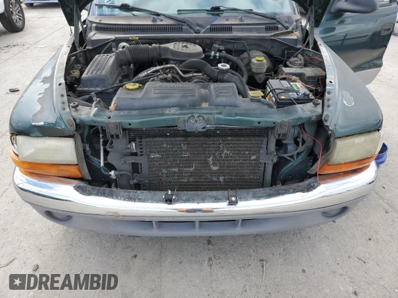 2000 Dodge Dakota Sport z VIN 1B7GL2AX6YS602043, wystawiony jako Copart lot #41380085 z przebiegiem 186 557 mil mil oraz Szkoda całkowita • Salvage title. Historia ofert i sprzedaży dostępna na DreamBid. Obrazek 11.