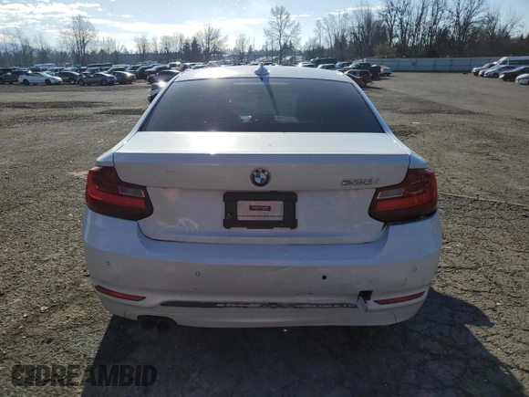 2016 BMW 2 Series 228i with VIN WBA1F9C59GV545896, listed as a Copart auction lot 42260055 with 68,755 mi miles and Salvage Title. Bid and sale history available at DreamBid. Image 6.