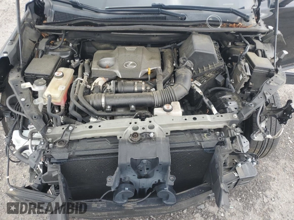 2019 Lexus NX 300 with VIN JTJYARBZ9K2145039, listed as a Copart auction lot 55788715 with 66,599 mi miles and Salvage title. Bid and sale history available at DreamBid. Image 12.