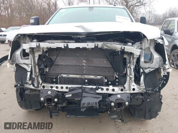 2021 GMC Sierra 1500 with VIN 1GTV9BETXMZ375650, listed as a IAAI auction lot 41566909 with 97,967 mi miles and . Bid and sale history available at DreamBid. Image 6.