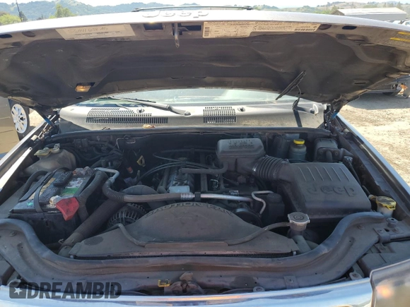 2000 Jeep Grand Cherokee Laredo with VIN 1J4G248S6YC333068, listed as a Copart auction lot 54972765 with 183,775 mi miles and Clean title. Bid and sale history available at DreamBid. Image 12.