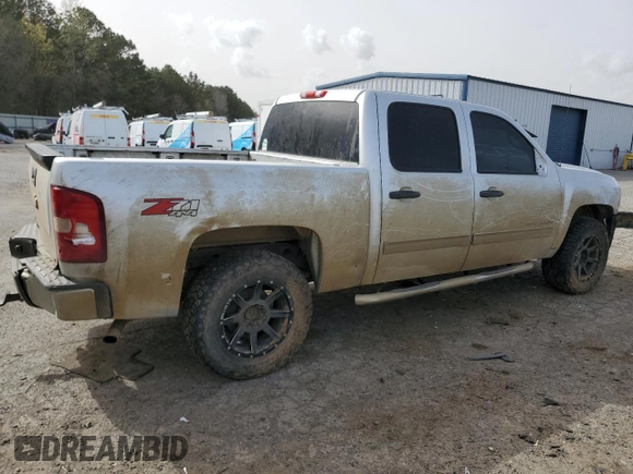 2013 Chevrolet Silverado 1500 LT with VIN 3GCPKSE74DG330767, listed as a Copart auction lot 49609515 with 252,108 mi miles and Salvage Title. Bid and sale history available at DreamBid. Image 3.