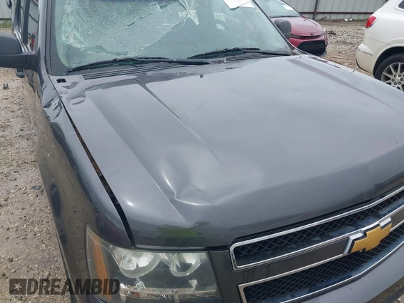 2010 Chevrolet Suburban LS with VIN 1GNUCHE07AR213838, listed as a IAAI auction lot 42523274 with 251,109 mi miles and . Bid and sale history available at DreamBid. Image 18.