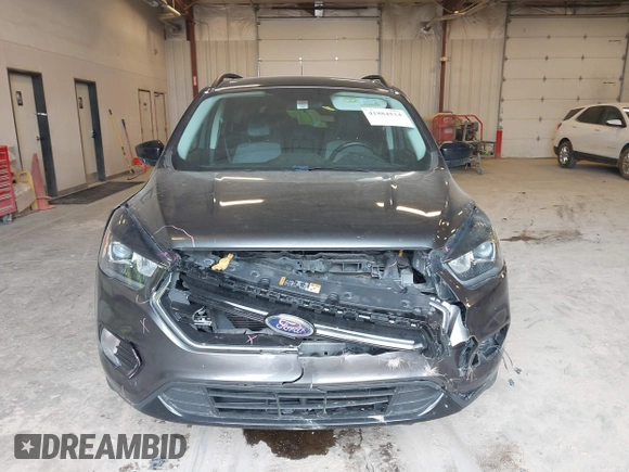 2017 Ford Escape SE with VIN 1FMCU0GD1HUC33119, listed as a IAAI auction lot 41884514 with 99,537 mi miles. Bid and sale history available at carsss.com. Image 12.