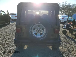 1995 Jeep Wrangler S with VIN 1J4FY19P1SP256905, listed as a Copart auction lot 46057415 with 138,212 mi miles and Salvage Title. Bid and sale history available at carsss.com. Image 6.