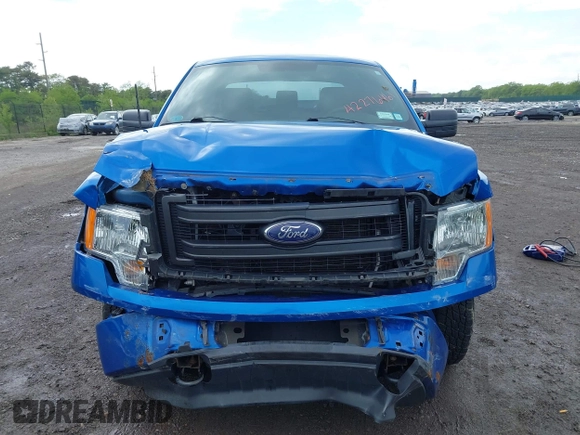 2014 Ford F-150 XL с VIN 1FTEX1EM5EFB91843, выставлен на аукционе IAAI как лот 42276461 с пробегом 149 171 миль миль и . История ставок и продаж доступна на DreamBid. Изображение 12.