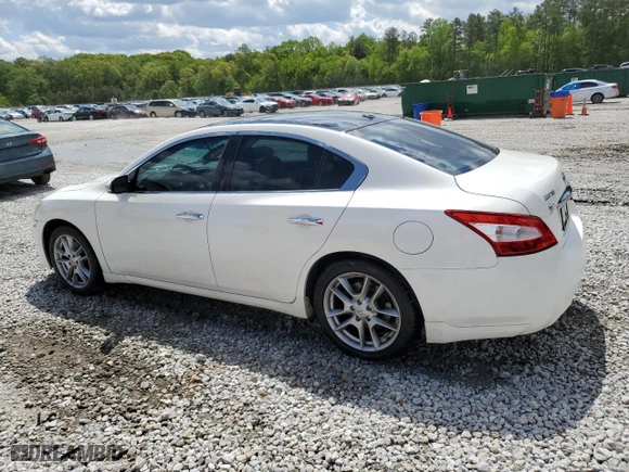2011 Nissan Maxima 3.5 S with VIN 1N4AA5AP1BC850656, listed as a Copart auction lot 52694635 with 178,309 mi miles and Salvage Title. Bid and sale history available at carsss.com. Image 2.