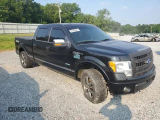 2013 Ford F-150 XL with VIN 1FTFW1ET5DFC26247, listed as a Copart auction lot 64248645 with 183,903 mi miles and Salvage title. Bid and sale history available at DreamBid. Image 4.