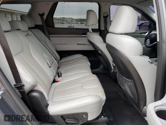 2020 Hyundai Palisade SEL with VIN KM8R4DHE7LU169377, listed as a Copart auction lot 52479895 with 58,828 mi miles and Salvage title. Bid and sale history available at DreamBid. Image 11.