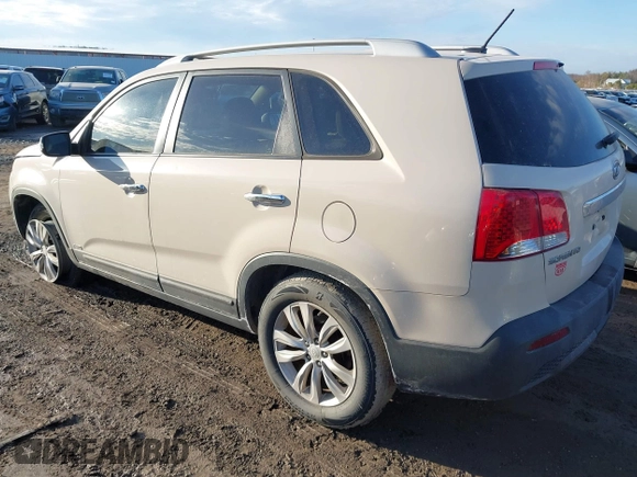 2011 Kia Sorento LX with VIN 5XYKTDA22BG080535, listed as a IAAI auction lot 41659766 with 262,678 mi miles. Bid and sale history available at carsss.com. Image 3.