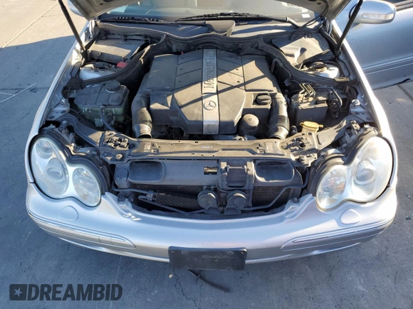 2003 Mercedes-Benz C 230/260/280/320 with VIN WDBRF64J33F309005, listed as a Copart auction lot 73726644 with Not Provided miles and Salvage Title. Bid and sale history available at DreamBid. Image 11.