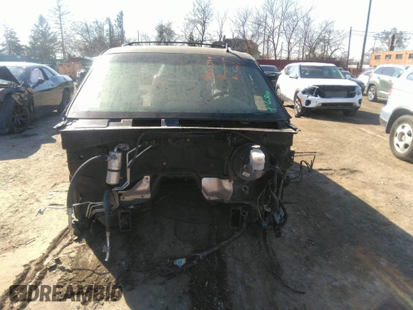 2013 Chevrolet Tahoe LT with VIN 1GNSKBE01DR316300, listed as a IAAI auction lot 41865589 with Not Provided miles and . Bid and sale history available at DreamBid. Image 12.