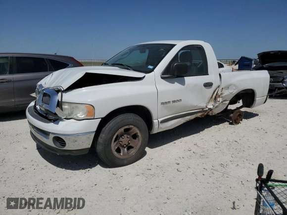2005 Dodge 1500 SLT with VIN 1D7HA16N05J537953, listed as a Copart auction lot 49049175 with 132,243 mi miles and Salvage Title. Bid and sale history available at carsss.com. Image 1.