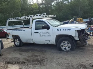 2009 Chevrolet Silverado 1500 with VIN 1GCEK24J89Z150770, listed as a Copart auction lot 66755994 with 240,924 mi miles and Salvage Title. Bid and sale history available at DreamBid. Image 4.