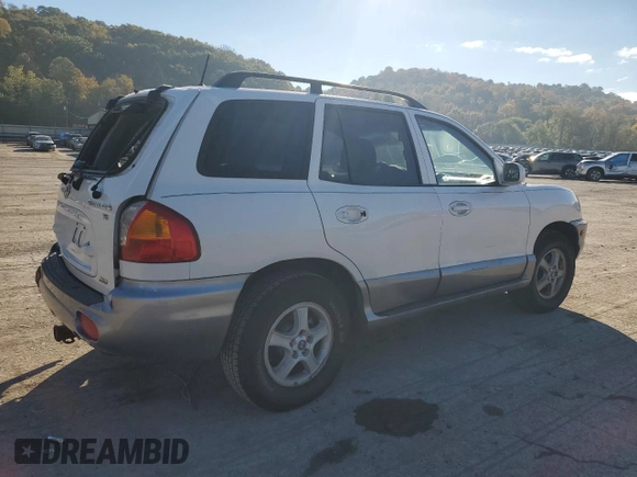 2004 Hyundai Santa Fe GLS with VIN KM8SC73DX4U836660, listed as a Copart auction lot 76409554 with 207,232 mi miles and Salvage Title. Bid and sale history available at carsss.com. Image 3.