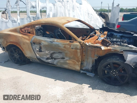 2020 Ford Mustang EcoBoost with VIN 1FA6P8THXL5154380, listed as a IAAI auction lot 41696159 with Not Provided miles and . Bid and sale history available at carsss.com. Image 11.