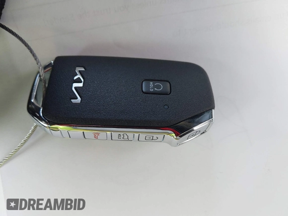 2022 Kia Telluride LX with VIN 5XYP2DHCXNG286083, listed as a IAAI auction lot 42455962 with 24,599 mi miles and . Bid and sale history available at DreamBid. Image 11.