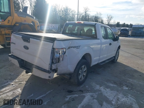 2017 Ford F-150 XL with VIN 1FTEX1EP1HKC49713, listed as a IAAI auction lot 41231172 with 250,679 mi miles. Bid and sale history available at carsss.com. Image 4.