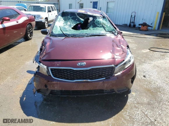 2017 Kia Forte LX with VIN 3KPFL4A78HE014204, listed as a Copart auction lot 49783694 with 213,986 mi miles and Non Repairable. Bid and sale history available at carsss.com. Image 5.