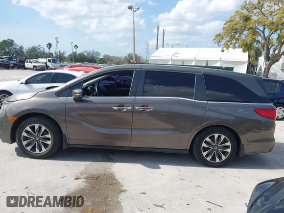 2022 Honda Odyssey EX-L with VIN 5FNRL6H77NB031502, listed as a IAAI auction lot 41706098 with 57,074 mi miles and . Bid and sale history available at DreamBid. Image 14.