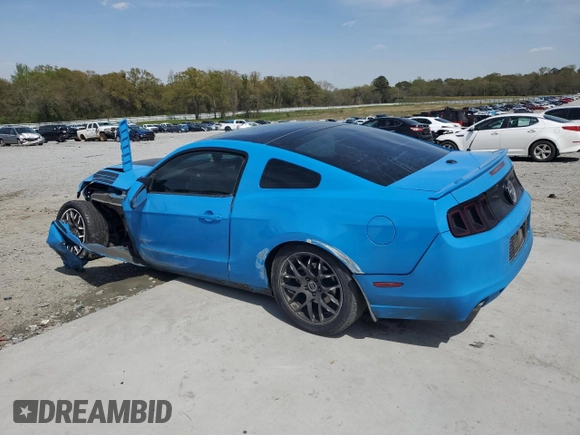 2013 Ford Mustang V6 with VIN 1ZVBP8AM2D5240418, listed as a Copart auction lot 50579625 with 171,998 mi miles and Salvage title. Bid and sale history available at DreamBid. Image 2.