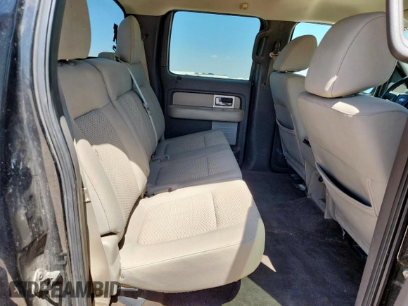 2010 Ford F-150 XL with VIN 1FTEW1C86AFC56413, listed as a Copart auction lot 61371355 with 251,151 mi miles and Salvage title. Bid and sale history available at DreamBid. Image 10.