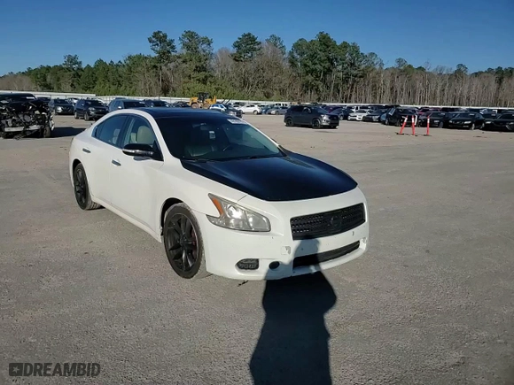 2010 Nissan Maxima 3.5 SV w/Premium Pkg with VIN 1N4AA5AP5AC820106, listed as a Copart auction lot 48180725 with 190,006 mi miles and Salvage Title. Bid and sale history available at carsss.com. Image 11.